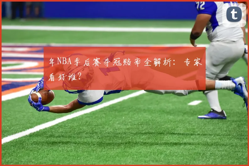 年NBA季后赛夺冠赔率全解析:专家看好谁?