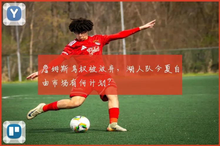 詹姆斯鸟权被放弃,湖人队今夏自由市场有何计划?