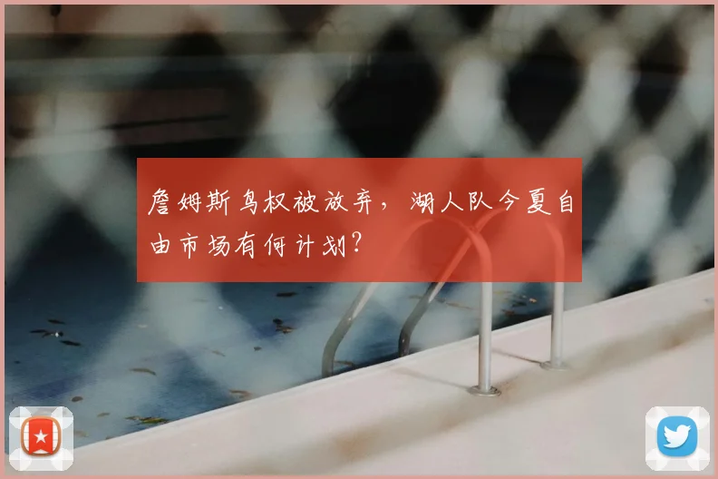 詹姆斯鸟权被放弃,湖人队今夏自由市场有何计划?